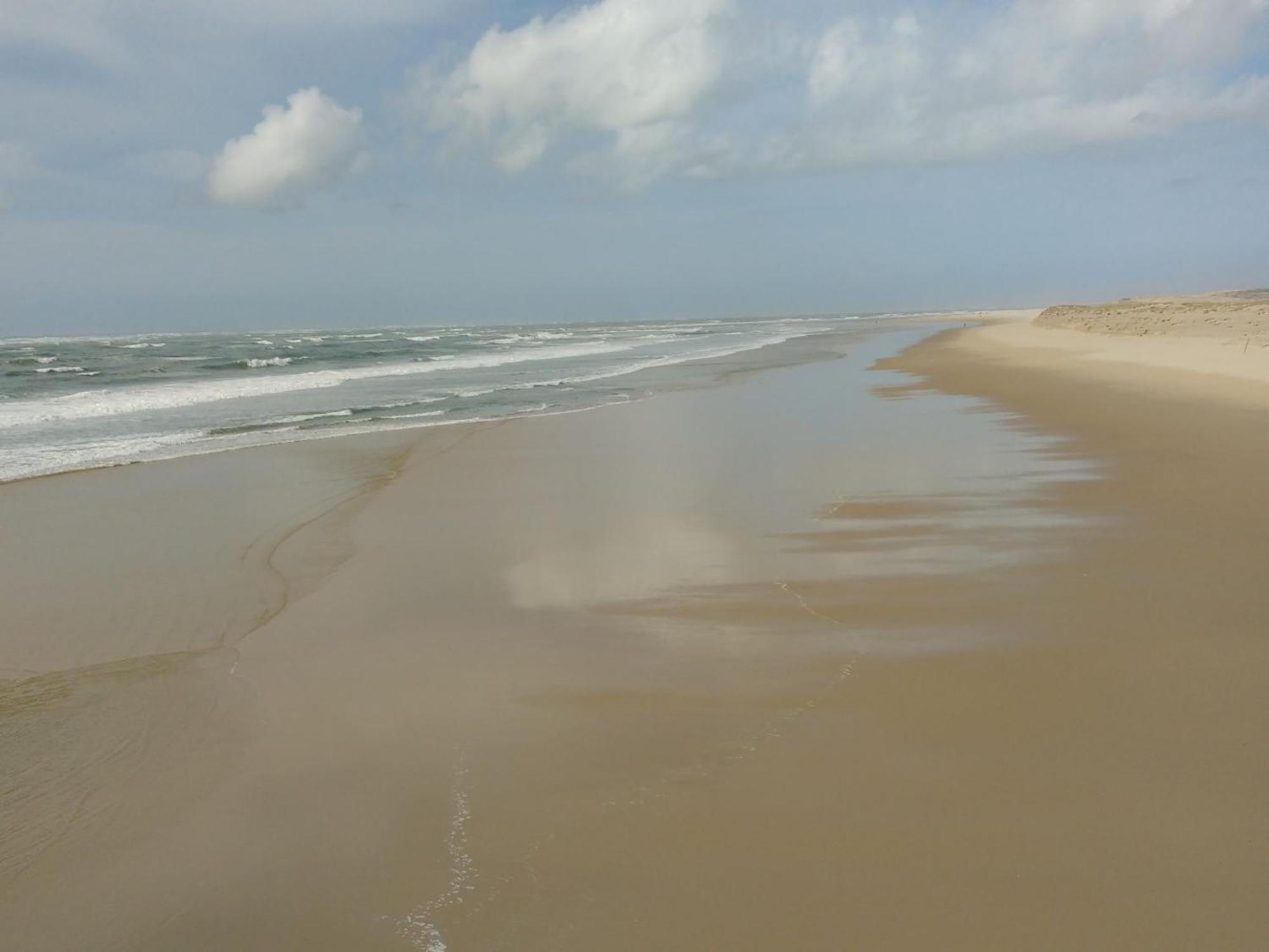Charmant Appartement Pour 6 En Centre-Ville D'Arcachon Avec Terrasse, Parking Et Wifi - Fr-1-474-174 エクステリア 写真